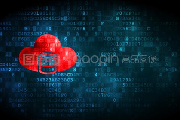 數字時代的數據基石 數據庫、網絡信息安全與軟件開發