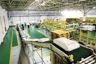 瓶蓋背后的產業密碼 從撫順技術轉讓看飲料包裝產業升級